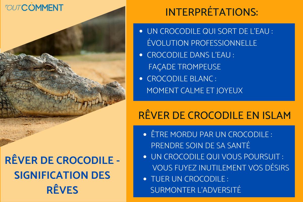 Rêver de crocodile - Signification des rêves