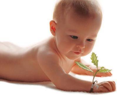 Quels sont les trois fonctions vitales