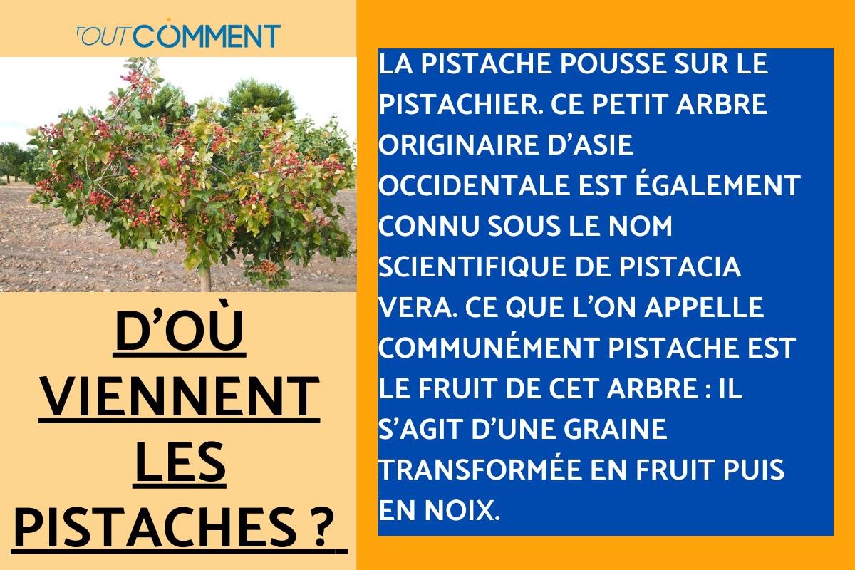 D'où viennent les pistaches ?