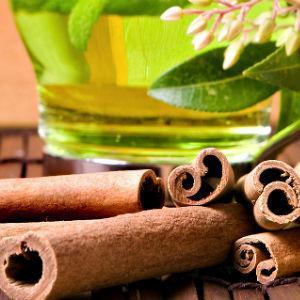 Quelles sont les infusions aphrodisiaques - Infusions aphrodisiaques : menthe et cannelle