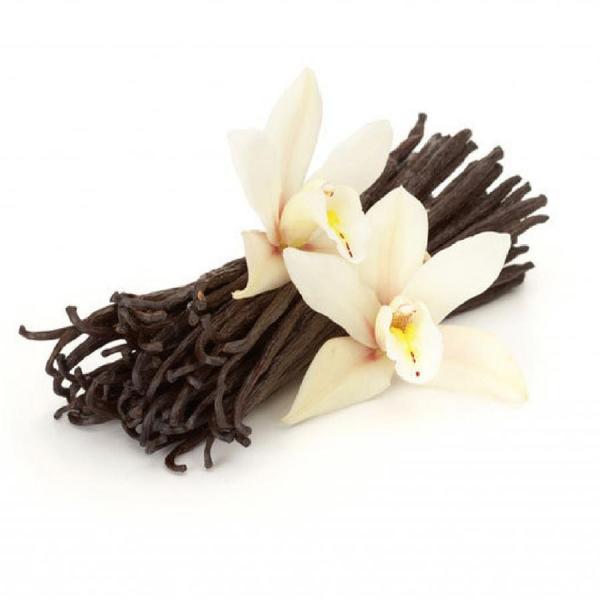 Quelles sont les infusions aphrodisiaques - Infusions aphrodisiaques : vanille