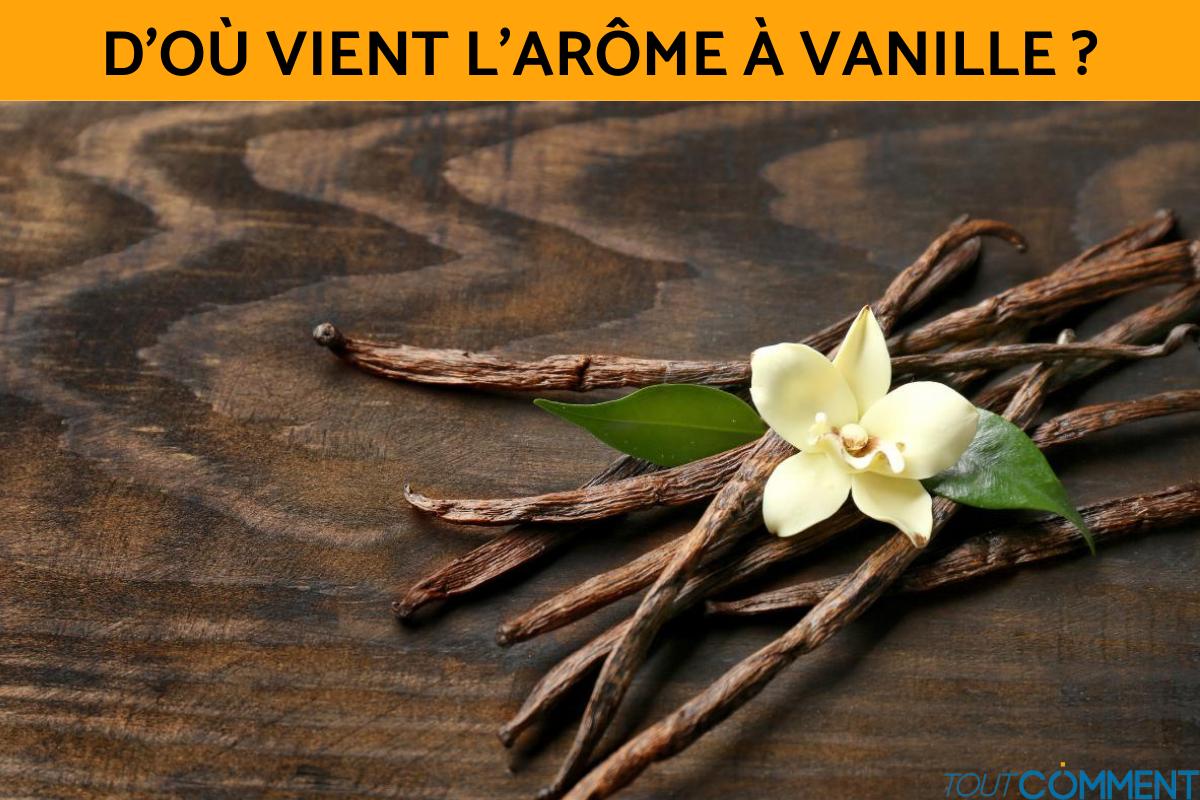 D'où vient l'arôme à vanille ?