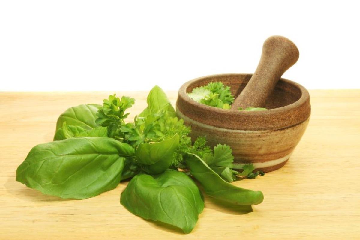 Comment conserver le basilic frais