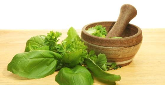 Comment conserver le basilic frais