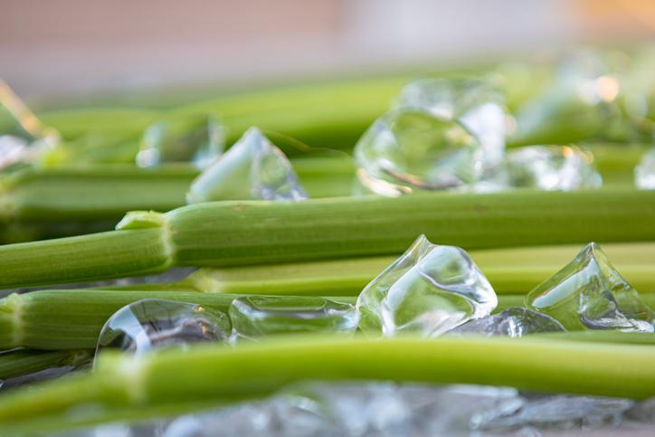 Peut-on CONGELER du CÉLERI BRANCHE FRAIS ? - Astuces
