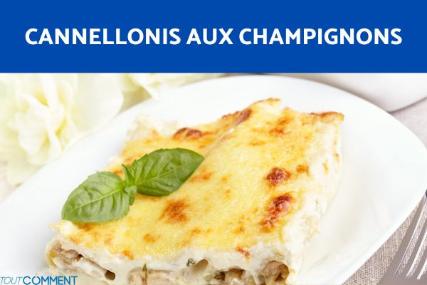 Recette cannellonis aux champignons