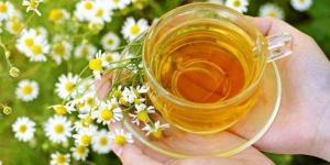 Quels sont les bienfaits de la camomille