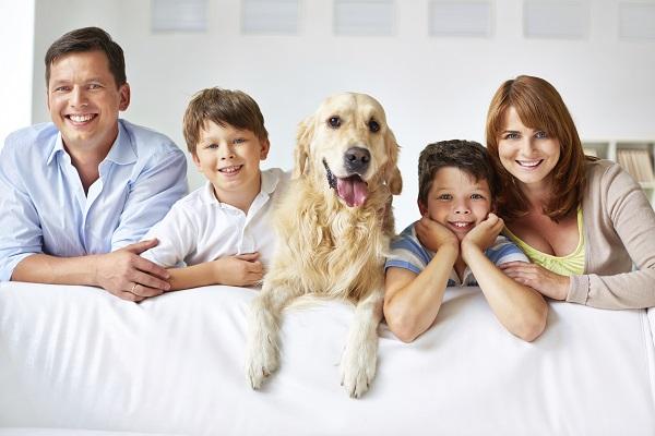 Comment enlever l'odeur d'urine de chien dans la maison - Étape 5