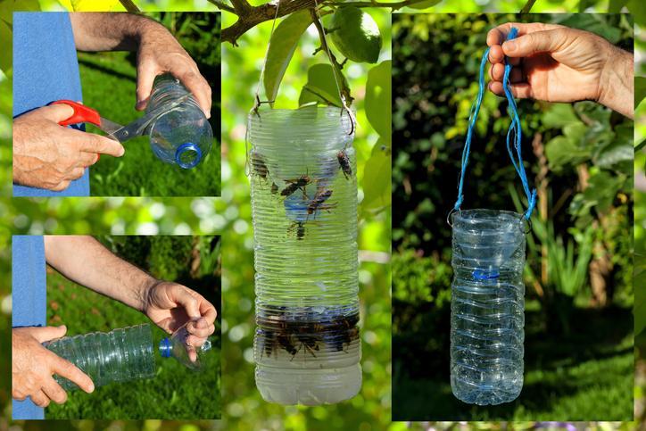 Comment FABRIQUER un piège à FRELONS ASIATIQUES avec une BOUTEILLE