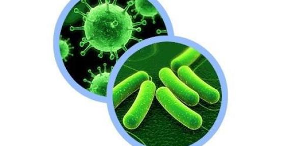 Quelle est la différence entre une bactérie et un virus