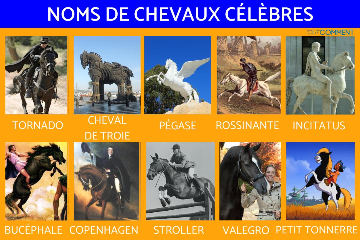 Noms de chevaux célèbres