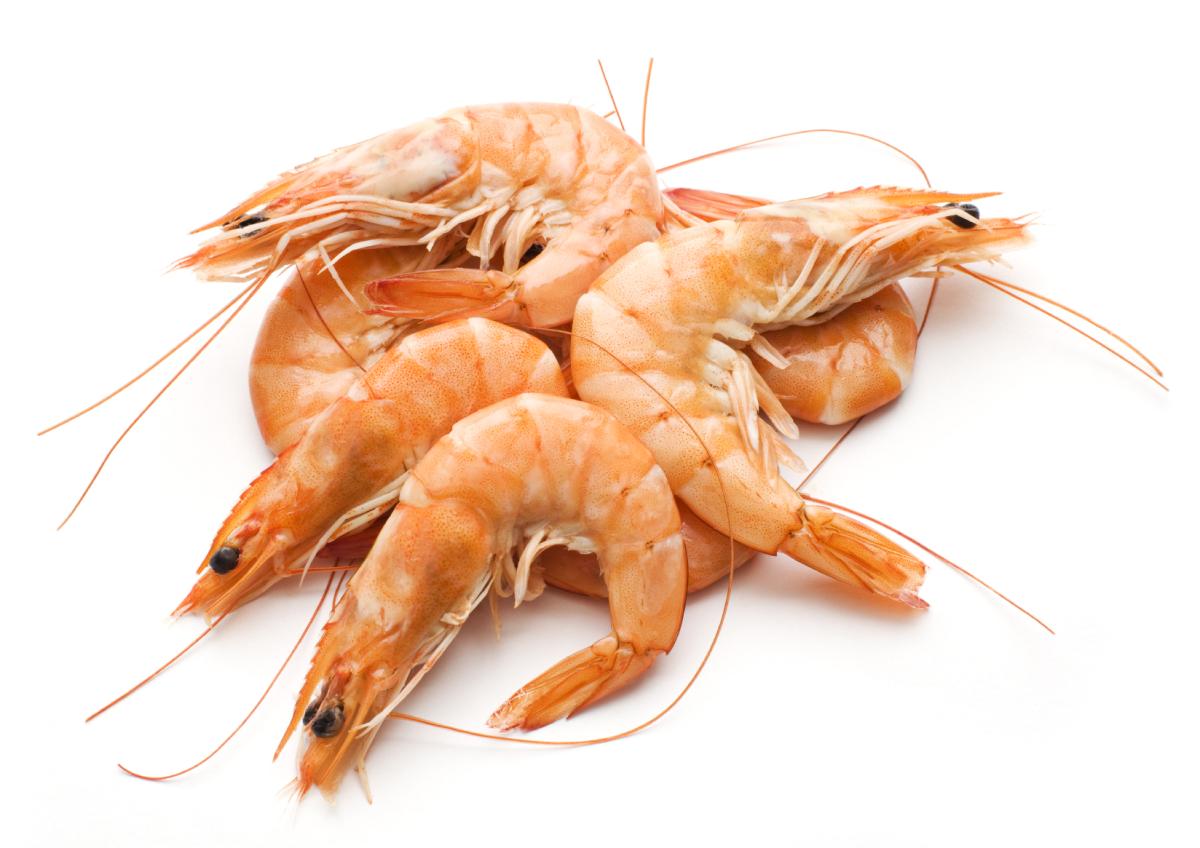 Quelle différence entre crevette et langoustine
