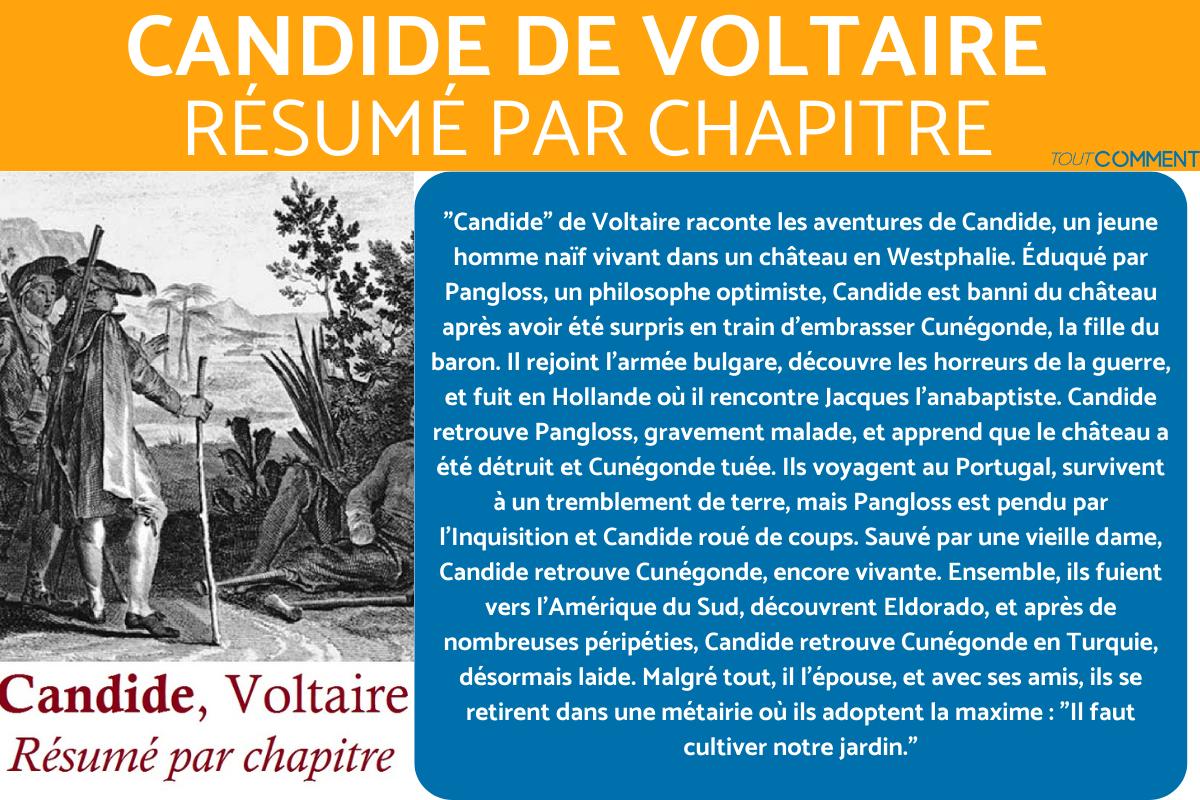 Résumé par chapitre de "Candide" de Voltaire