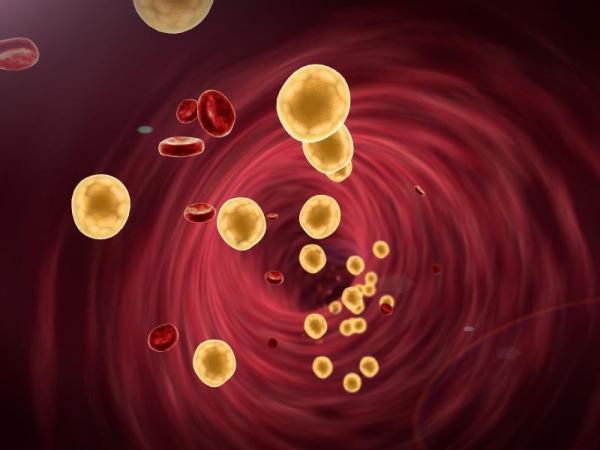 Comment augmenter sont taux de triglycérides