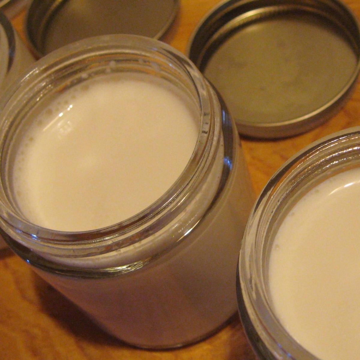 Comment faire un yaourt au lait