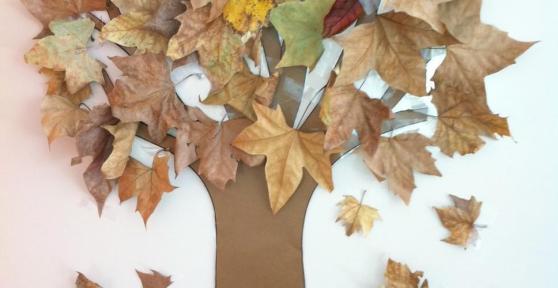 Comment faire un arbre d'automne en guise de décoration