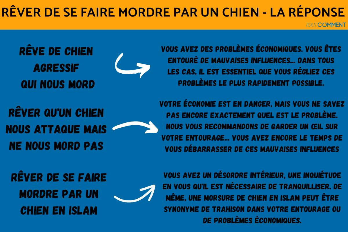 RÊVER DE SE FAIRE MORDRE PAR UN CHIEN Signification des rêves