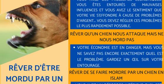 Rêver de se faire mordre par un chien - Signification des rêves