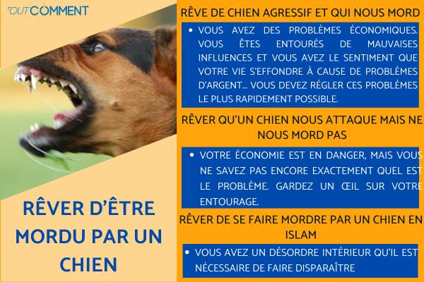 Rêver de se faire mordre par un chien - Signification des rêves