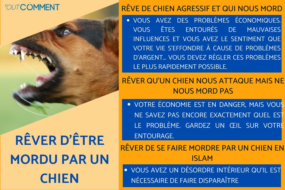 RÊVER DE SE FAIRE MORDRE PAR UN CHIEN - Signification des rêves