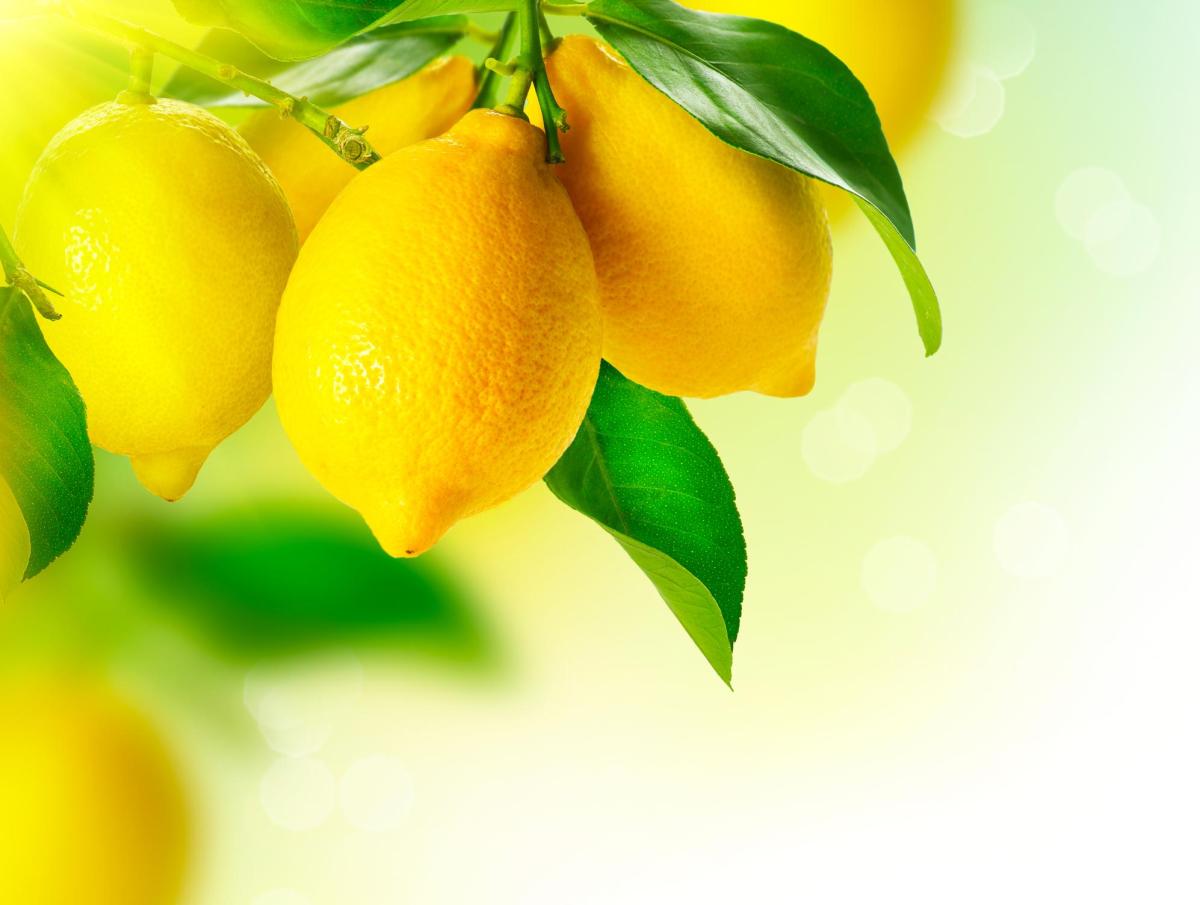 Bienfaits du citron : propriétés et contre-indications
