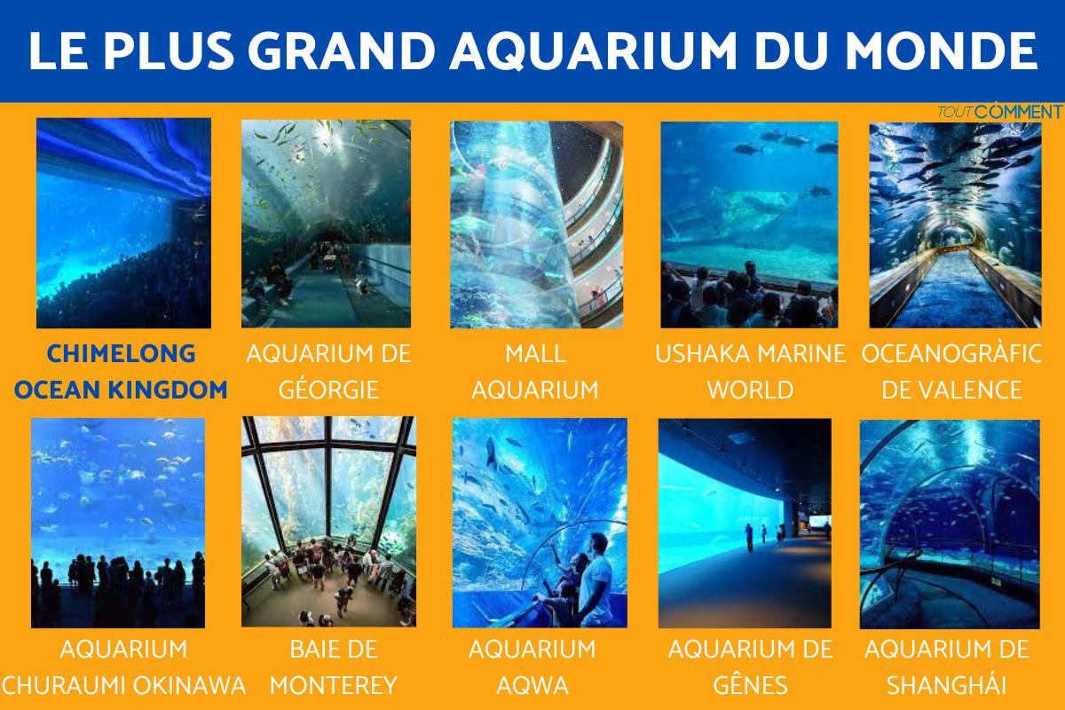 Les 10 PLUS GRANDS AQUARIUMS DU MONDE Découvrez LE PLUS GRAND AQUARIUM DU MONDE