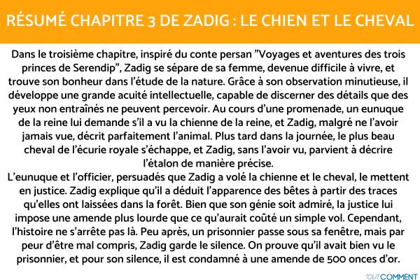 Résumé chapitre par chapitre de Zadig - Voltaire - Chapitre III : Le chien et le cheval