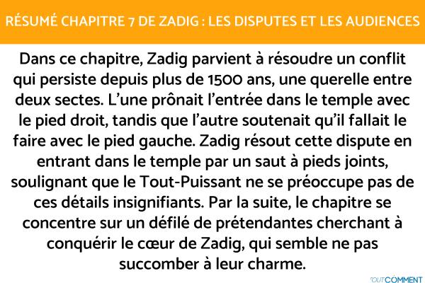 Résumé chapitre par chapitre de Zadig - Voltaire - Chapitre VII : Les disputes et les audiences