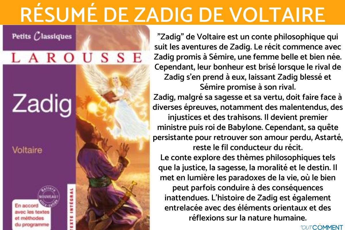 Résumé chapitre par chapitre de Zadig - Voltaire