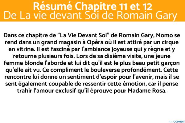 Résumé de La Vie Devant Soi de Romain Gary - Résumé chapitre 11 et 12 de La Vie devant Soi de Romain Gary