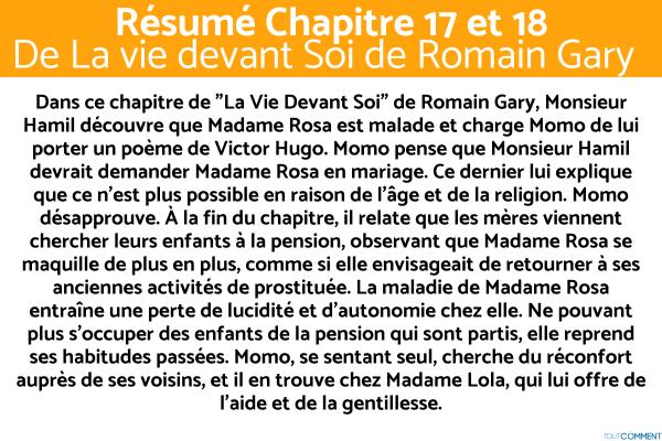 Résumé de La Vie Devant Soi de Romain Gary - Résumé chapitre 17 et 18 de La Vie devant Soi de Romain Gary