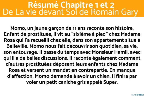 Résumé de La Vie Devant Soi de Romain Gary - Résumé chapitre 1 et 2 de La Vie devant Soi de Romain Gary