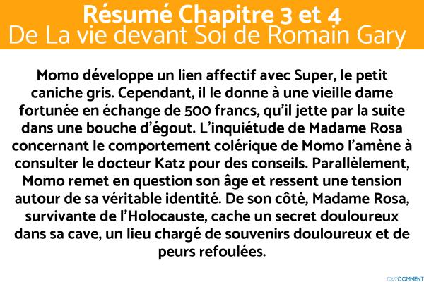 Résumé de La Vie Devant Soi de Romain Gary - Résumé chapitre 3 et 4 de La Vie devant Soi de Romain Gary