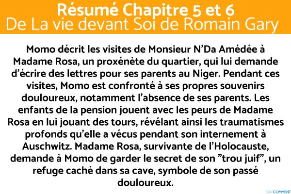 Résumé de La Vie Devant Soi de Romain Gary - Résumé chapitre 5 et 6 de La Vie devant Soi de Romain Gary