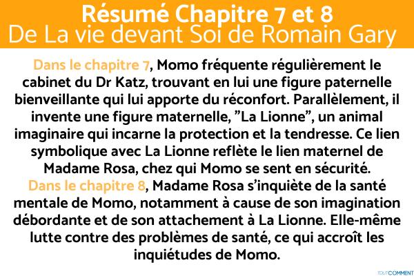 Résumé de La Vie Devant Soi de Romain Gary - Résumé chapitre 7 et 8 de La Vie devant Soi de Romain Gary