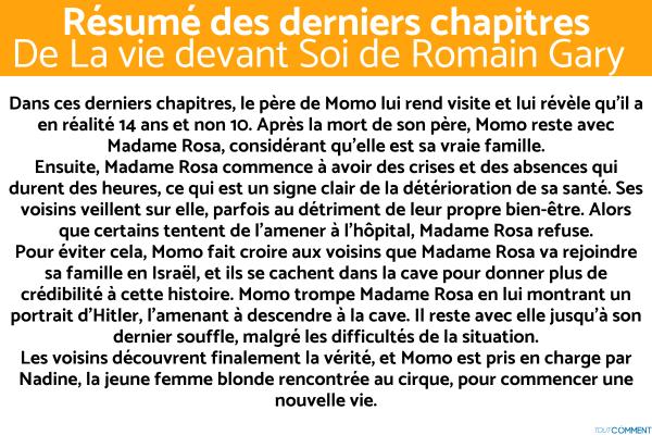 Résumé de La Vie Devant Soi de Romain Gary - Résumé des derniers chapitres de La Vie devant Soi de Romain Gary
