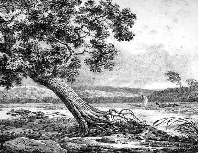 Le Chene Et Le Roseau Fable education.toutcomment.com
