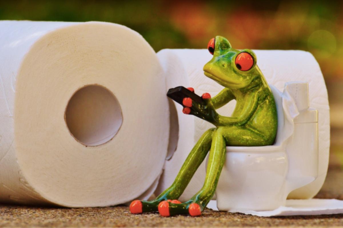 On dit UN ou UNE toilette