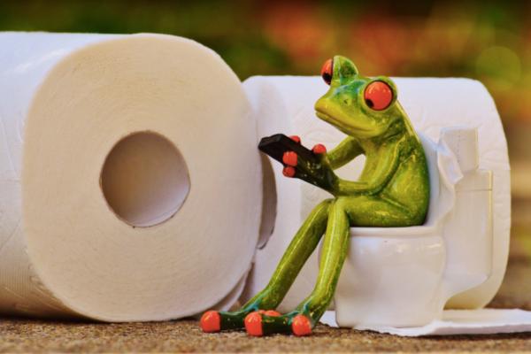 On dit UN ou UNE toilette