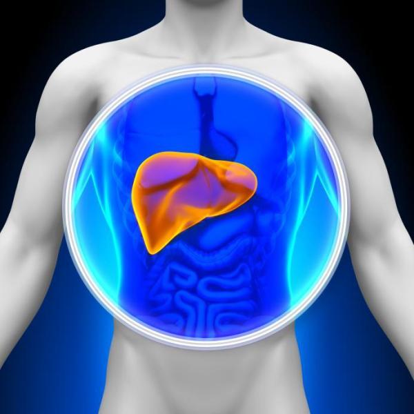 Comment baisser le taux de transaminases