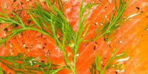 Comment mariner du saumon