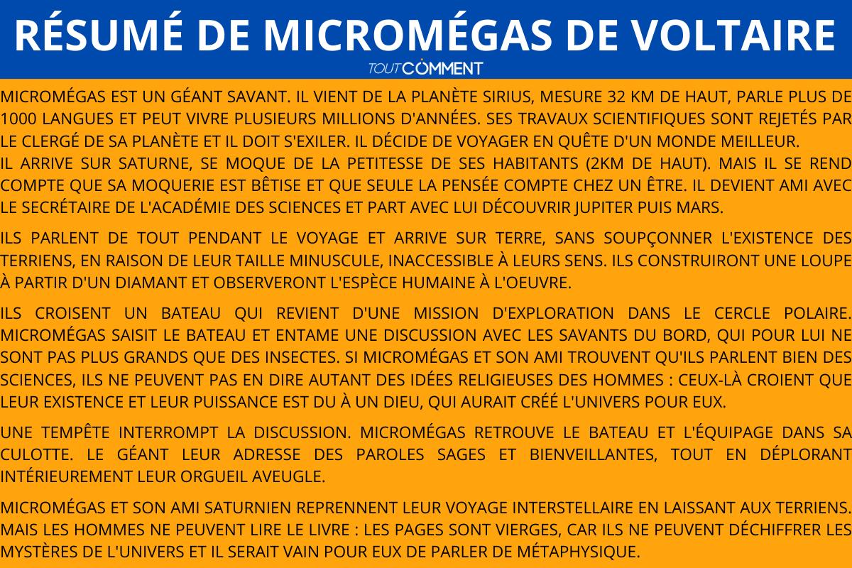 Court résumé de Micromégas de Voltaire