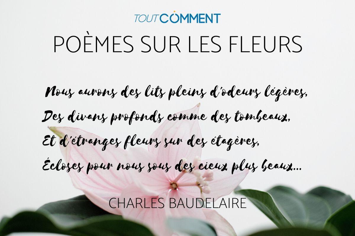 Poèmes sur les fleurs