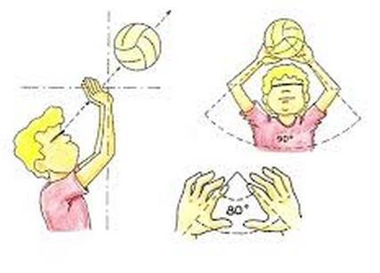 Les coups en volley-ball - Les coups en volley-ball : la passe