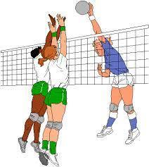 Les coups en volley-ball - Les coups en volley-ball : le bloc (contre)