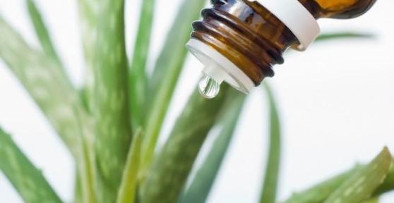 Comment utiliser l'aloe vera pour soigner la sinusite