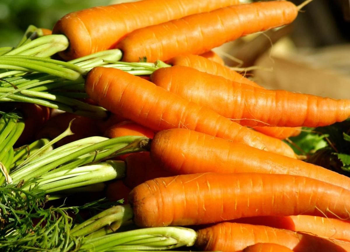 Quelle vitamine contient la carotte