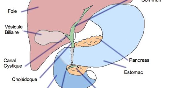 Causes de l'inflammation de la vésicule biliaire