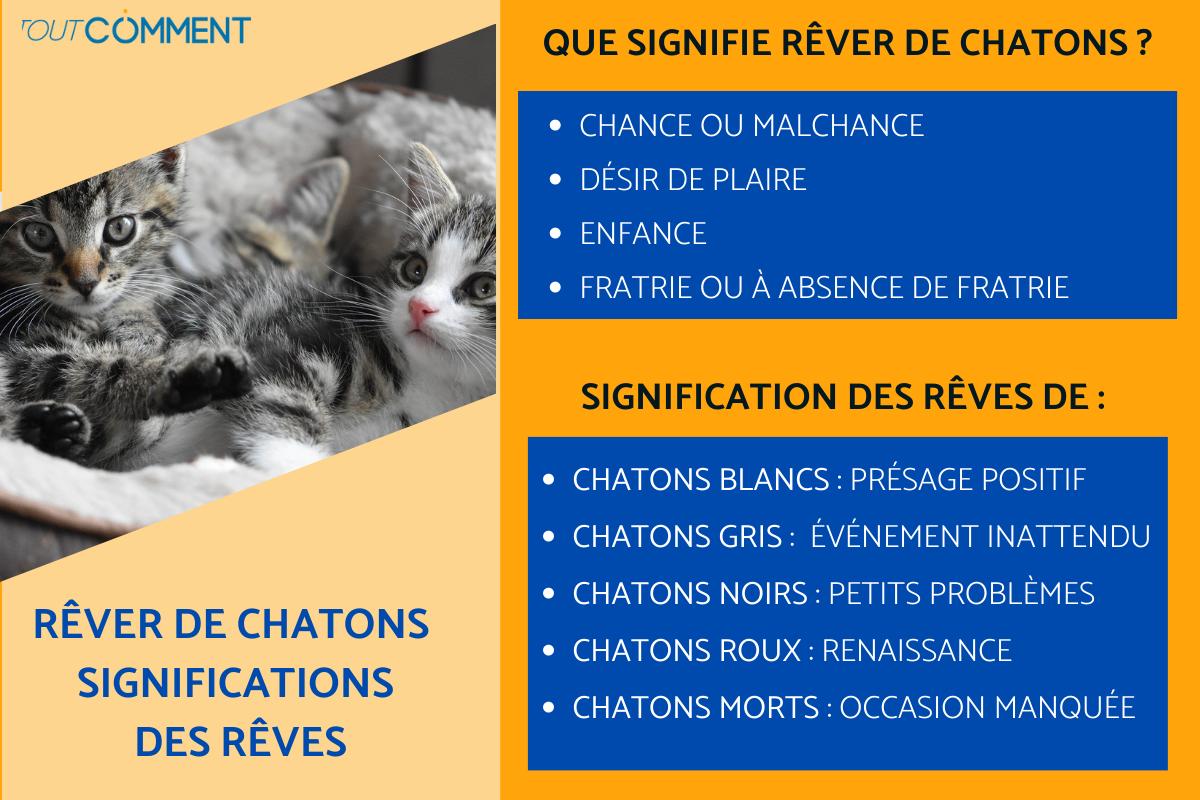 Rêver de chatons - Significations des rêves