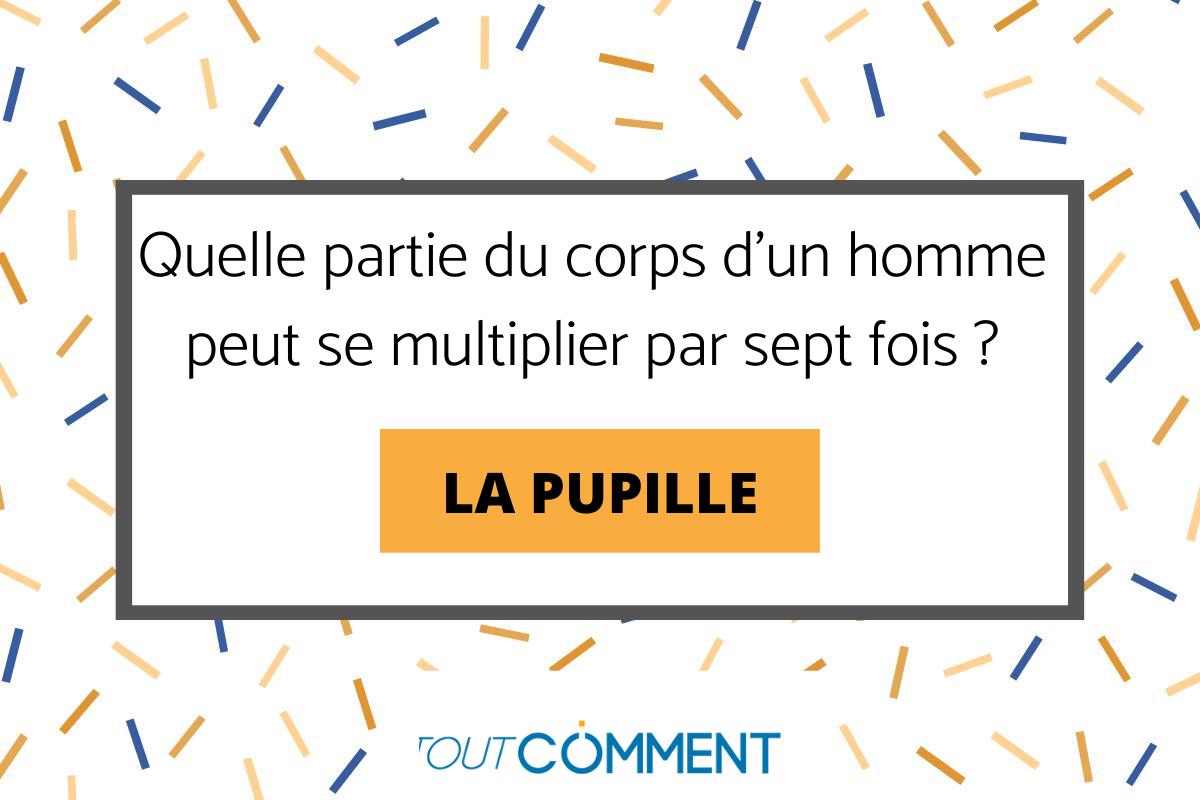 Devinettes pour adultes - Sexy et à double sens